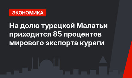 На долю турецкой Малатьи приходится 85 процентов мирового экспорта кураги