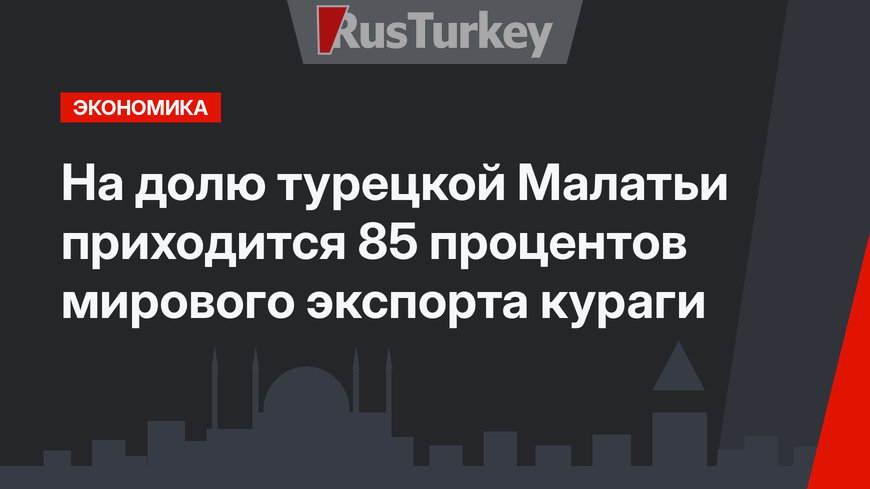 На долю турецкой Малатьи приходится 85 процентов мирового экспорта кураги