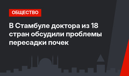 В Стамбуле доктора из 18 стран обсудили проблемы пересадки почек