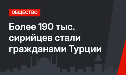 Более 190 тыс. сирийцев стали гражданами Турции