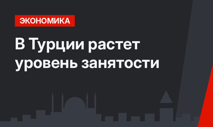  В Турции растет уровень занятости
