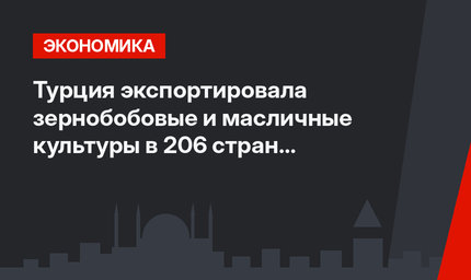 Турция экспортировала зернобобовые и масличные культуры в 206 стран и свободных зон