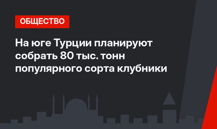 На юге Турции планируют собрать 80 тыс. тонн популярного сорта клубники