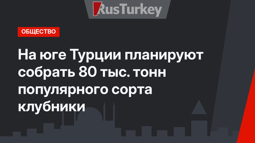 На юге Турции планируют собрать 80 тыс. тонн популярного сорта клубники