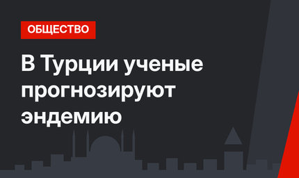 В Турции ученые прогнозируют эндемию