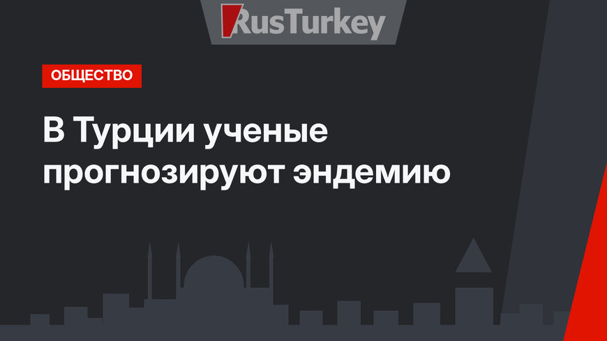В Турции ученые прогнозируют эндемию