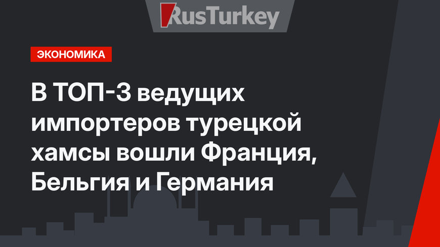 В ТОП-3 ведущих импортеров турецкой хамсы вошли Франция, Бельгия и Германия