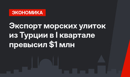 Экспорт морских улиток из Турции в I квартале превысил $1 млн