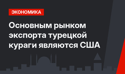 Основным рынком экспорта турецкой кураги являются США
