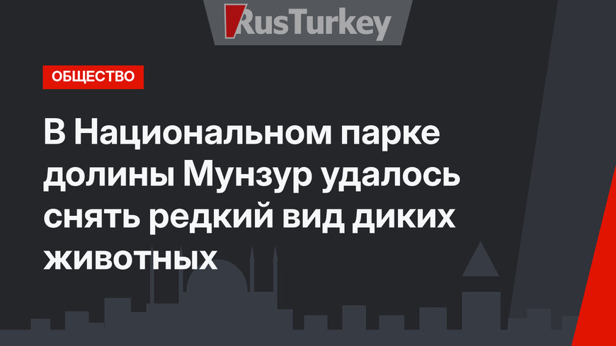 В Национальном парке долины Мунзур удалось снять редкий вид диких животных