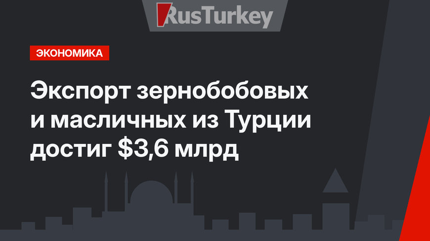 Экспорт зернобобовых и масличных из Турции достиг $3,6 млрд