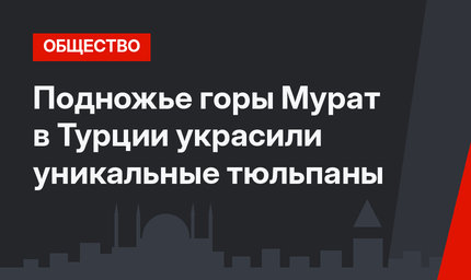 Подножье горы Мурат в Турции украсили уникальные тюльпаны