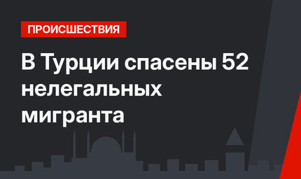 В Турции спасены 52 нелегальных мигранта