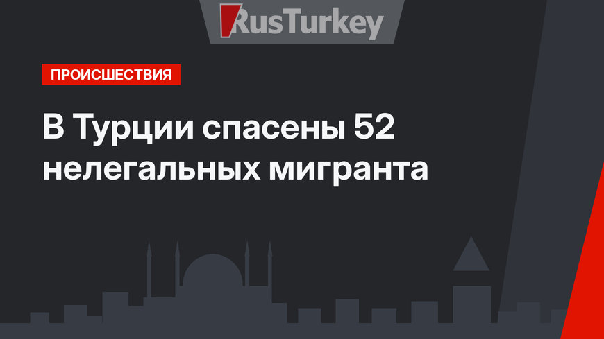В Турции спасены 52 нелегальных мигранта