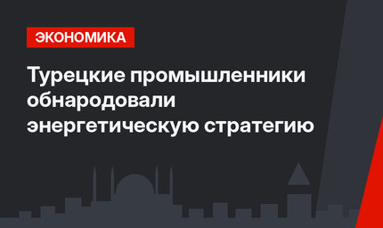 Турецкие промышленники обнародовали энергетическую стратегию