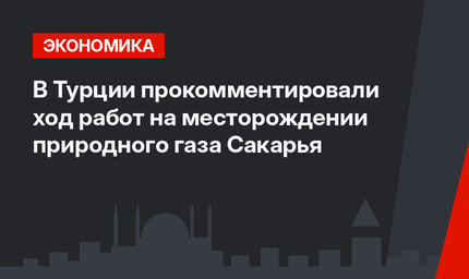 В Турции прокомментировали ход работ на месторождении природного газа Сакарья
