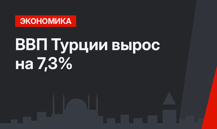 ВВП Турции вырос  на 7,3%