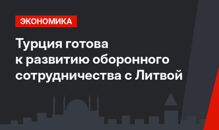 Турция готова к развитию оборонного сотрудничества с Литвой