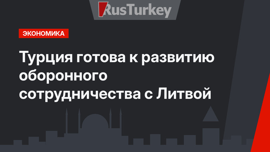 Турция готова к развитию оборонного сотрудничества с Литвой