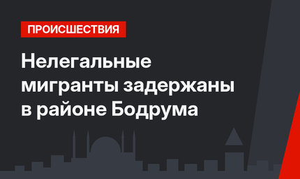 Нелегальные мигранты задержаны в районе Бодрума