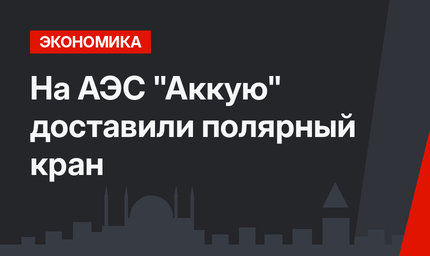 На  АЭС "Аккую" доставили полярный кран