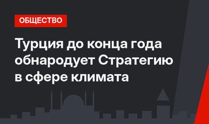 Турция до конца года обнародует Стратегию в сфере климата