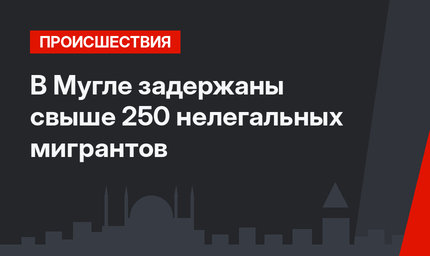 В Мугле задержаны свыше 250  нелегальных мигрантов