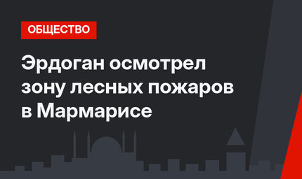 Эрдоган осмотрел зону лесных пожаров в Мармарисе