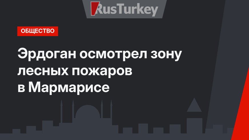 Эрдоган осмотрел зону лесных пожаров в Мармарисе
