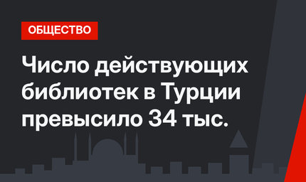 Число действующих библиотек в Турции превысило 34 тыс.