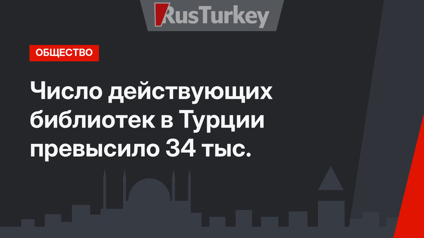 Число действующих библиотек в Турции превысило 34 тыс.