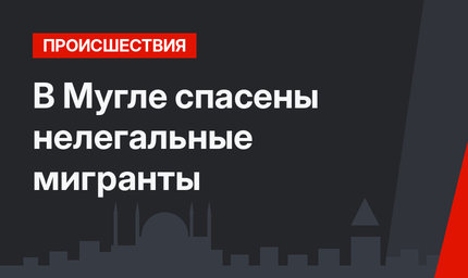 В Мугле спасены нелегальные мигранты