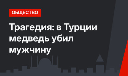 Трагедия: в Турции медведь убил мужчину