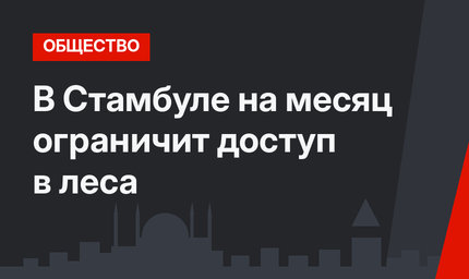 В Стамбуле на месяц ограничит доступ в леса
