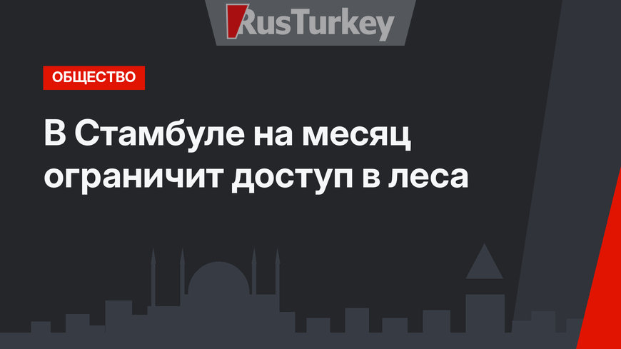 В Стамбуле на месяц ограничит доступ в леса