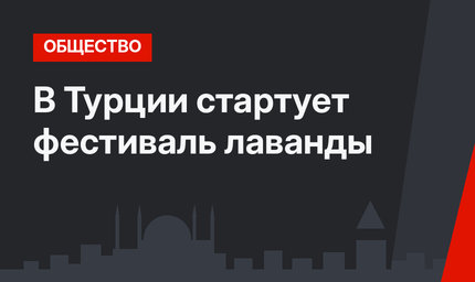 В Турции стартует фестиваль лаванды