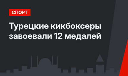 Турецкие кикбоксеры завоевали 12 медалей