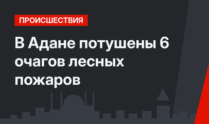 В Адане потушены 6 очагов лесных пожаров