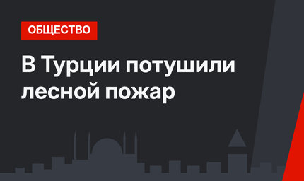 В Турции потушили лесной пожар