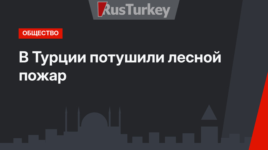 В Турции потушили лесной пожар