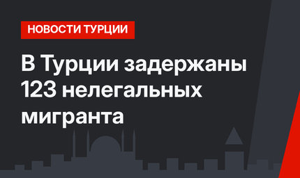 В Турции задержаны 123 нелегальных мигранта