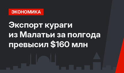 Экспорт кураги из Малатьи за полгода превысил $160 млн
