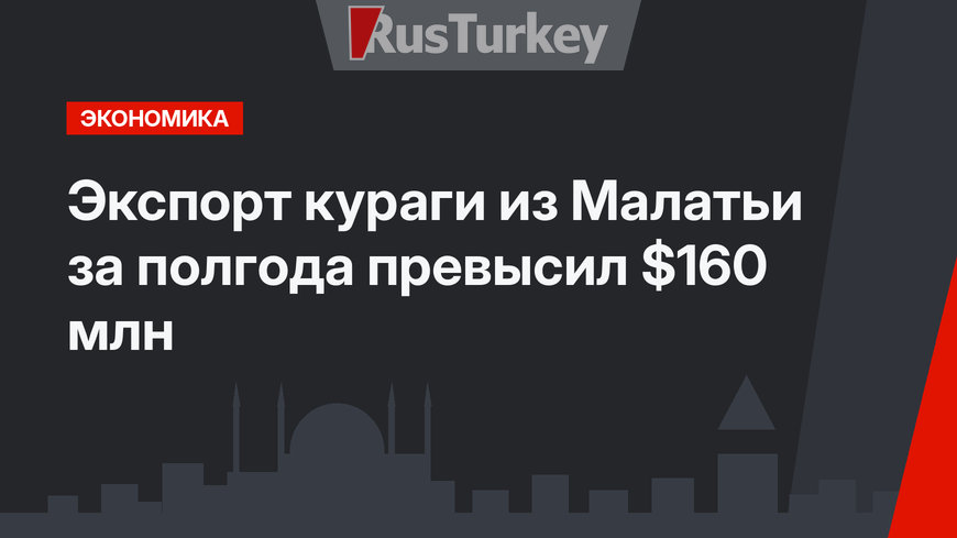 Экспорт кураги из Малатьи за полгода превысил $160 млн