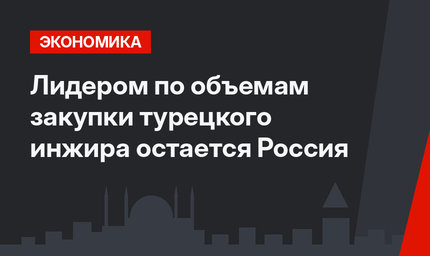 Лидером по объемам закупки турецкого инжира остается Россия
