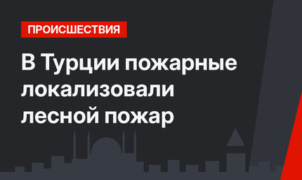 В Турции пожарные локализовали лесной пожар