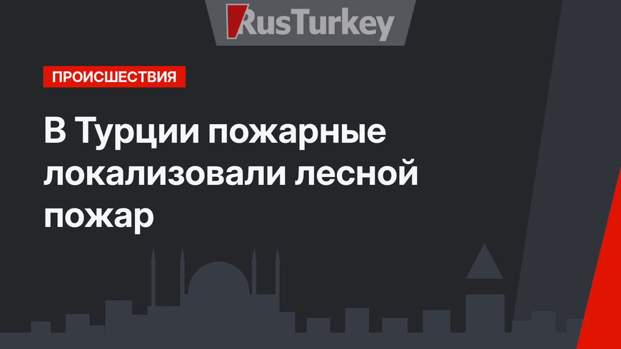 В Турции пожарные локализовали лесной пожар