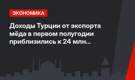 Доходы Турции от экспорта мёда в первом полугодии приблизились к 24 млн долларов