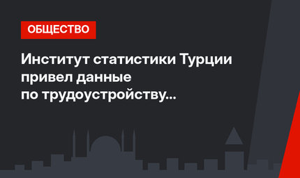 Институт статистики Турции привел данные по трудоустройству бакалавров