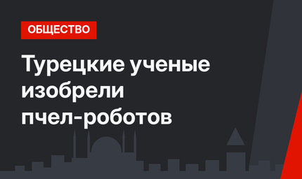 Турецкие ученые изобрели пчел-роботов 