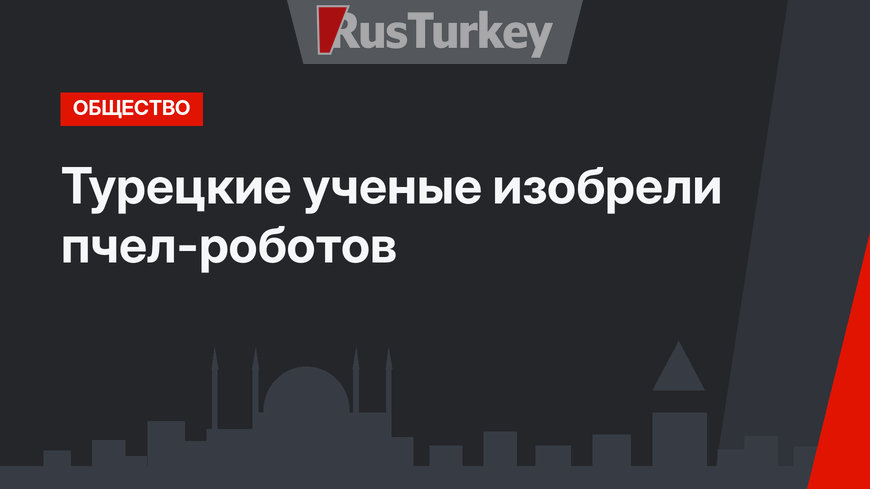 Турецкие ученые изобрели пчел-роботов 